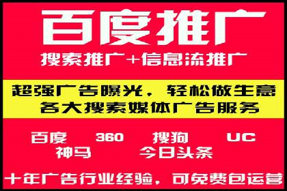 SEM广告投放策略：成功案例解析