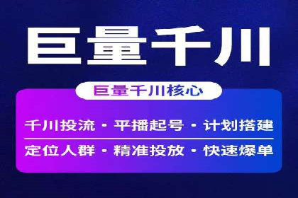 SEO与百度推广结合的营销策略——经典案例解析
